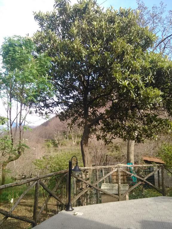Casa Giordano Villa Tramonti Eksteriør bilde