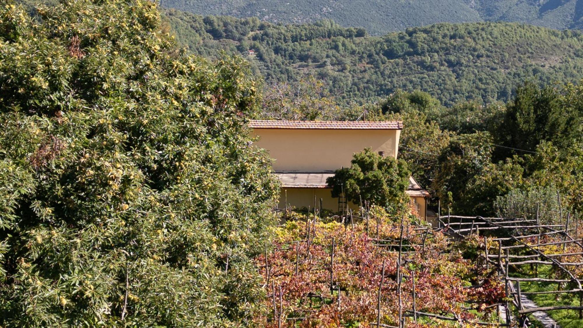 Casa Giordano Villa Tramonti Eksteriør bilde