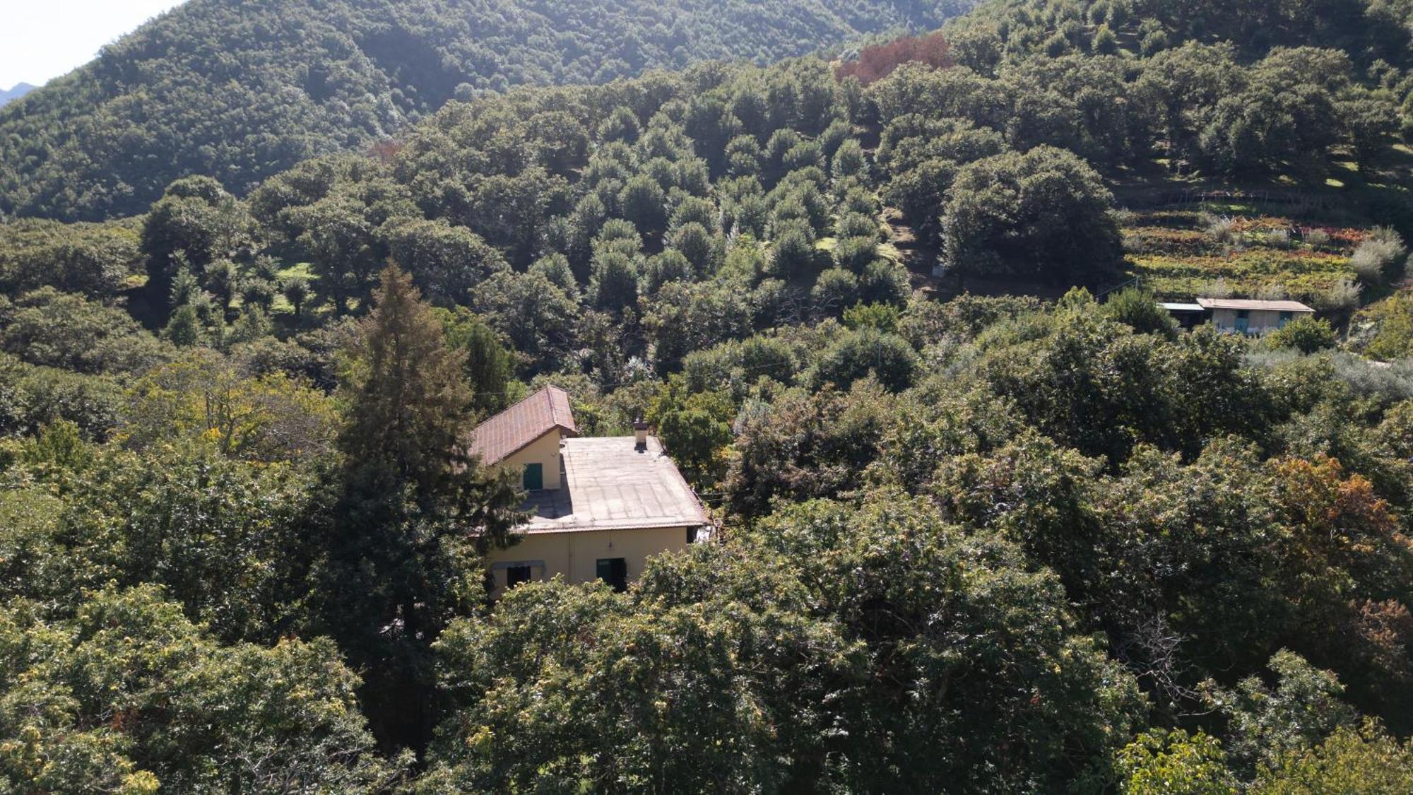 Casa Giordano Villa Tramonti Eksteriør bilde